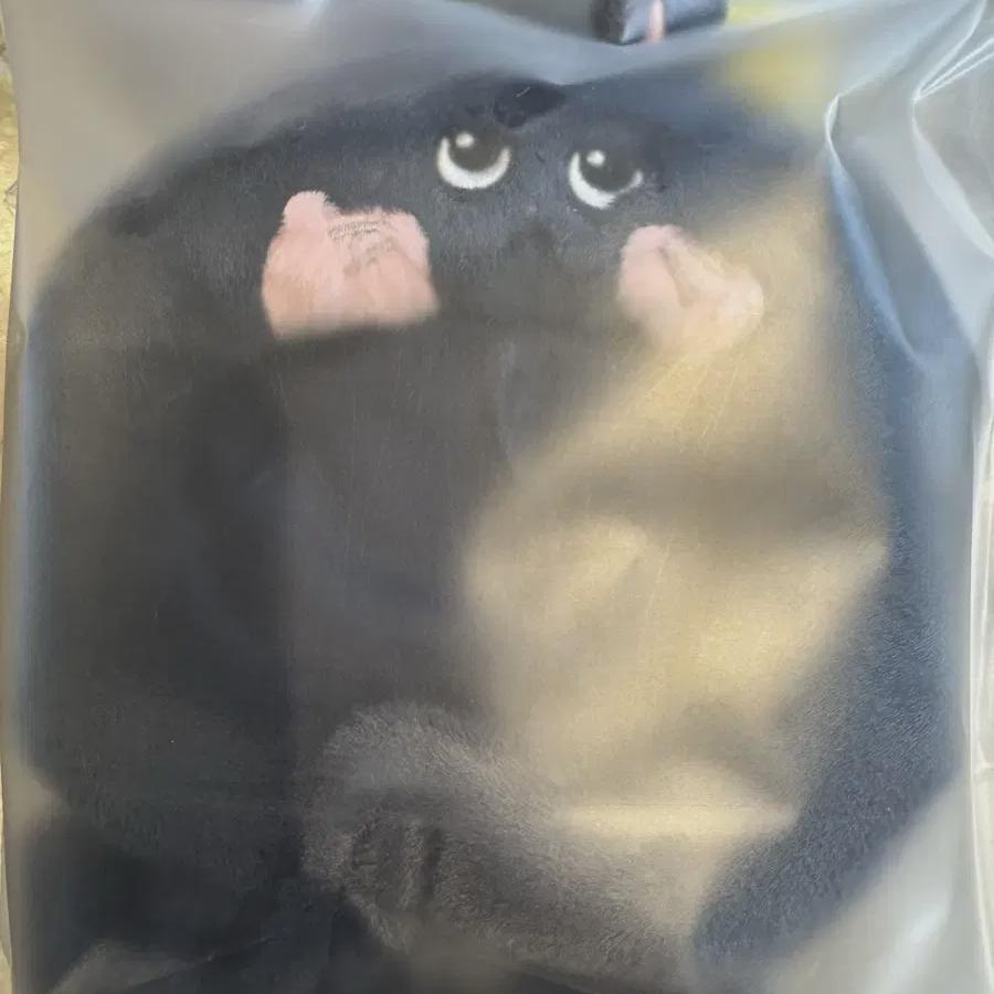 

Riize Wonbin Lightstick Cloak