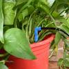 50PCS Bend Arrow Dripper Micro Drip Irrigation Kit Emitters Fit 3/5mm Hose Greenhouse Garden Potted Micro Watering System