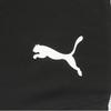 Puma 26 Team Liga Shorts