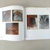 [USED] The Bird of Self-Knowledge Contemporary Art Collection