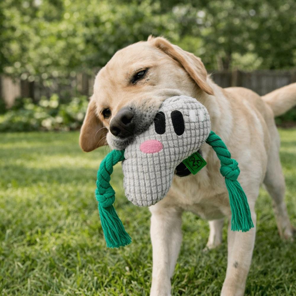 Alphabet Sounds Dog Chew Toy Chew Resistant Pineapple Fleece Dog Rope Knot Toy Bite Resistant Two-Tone Color Blocking