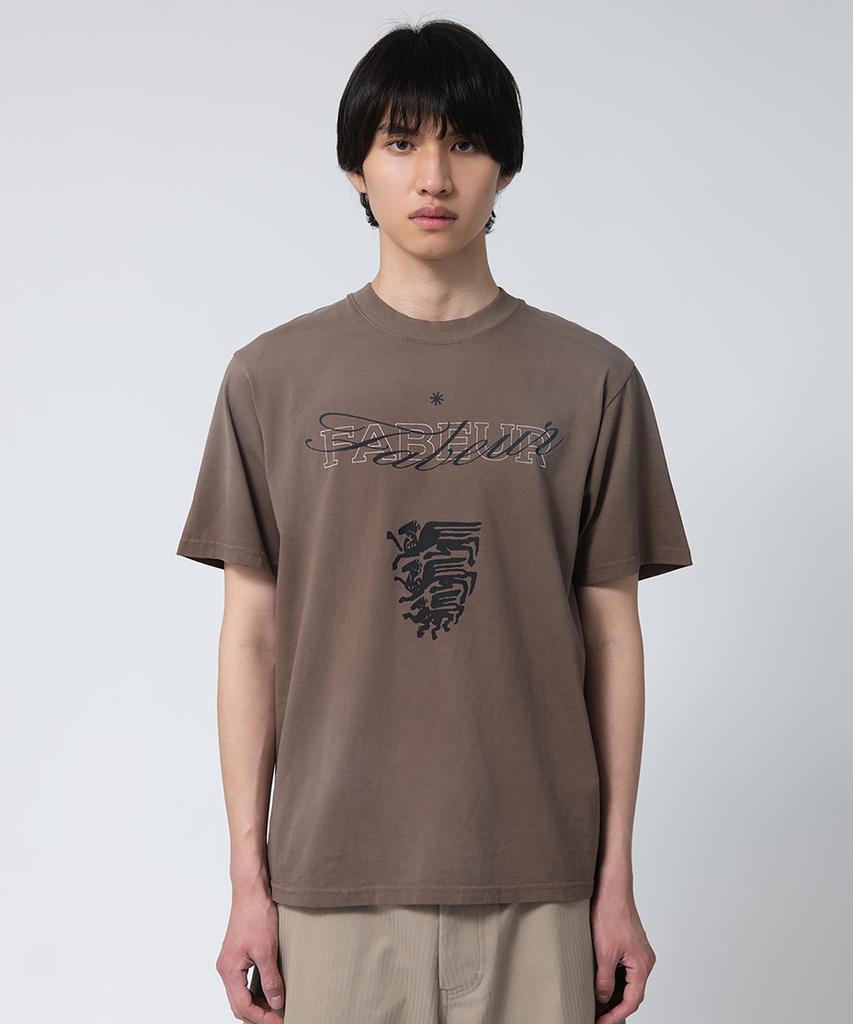 Pabeo Washed Graphic T-Shirt (Brown)