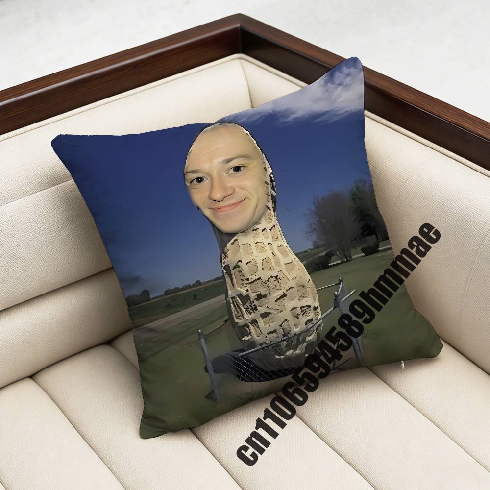 For 45X45Cm 40X40Cm British Actor J-Joseph Quinn Cat Throw Pillow Case Sham Square Car Pillowcase Pad Cushion Cover