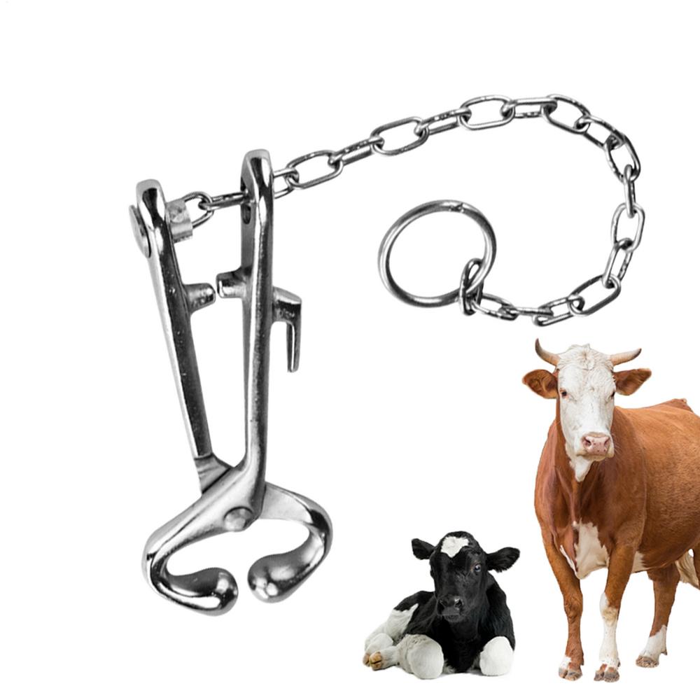 Rinder Nasenzange Für Ranch Edelstahl Rinder Nase Rinderclip Garten Zubehör Für Tierarzt Farm Vieh Ausrüstung