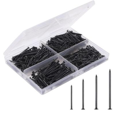 200 Pieces Iron Picture-Hanging Nail Set Quick-Access Assorted Nails Kit Sturdy