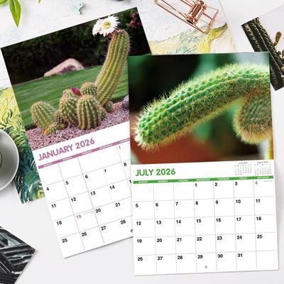 Calendario 2026 12 Meses Divertidas Ilustraciones de Cactus Decoración para el Hogar y la Oficina Regalo Gracioso para Visualización Programación Gestión del Tiempo