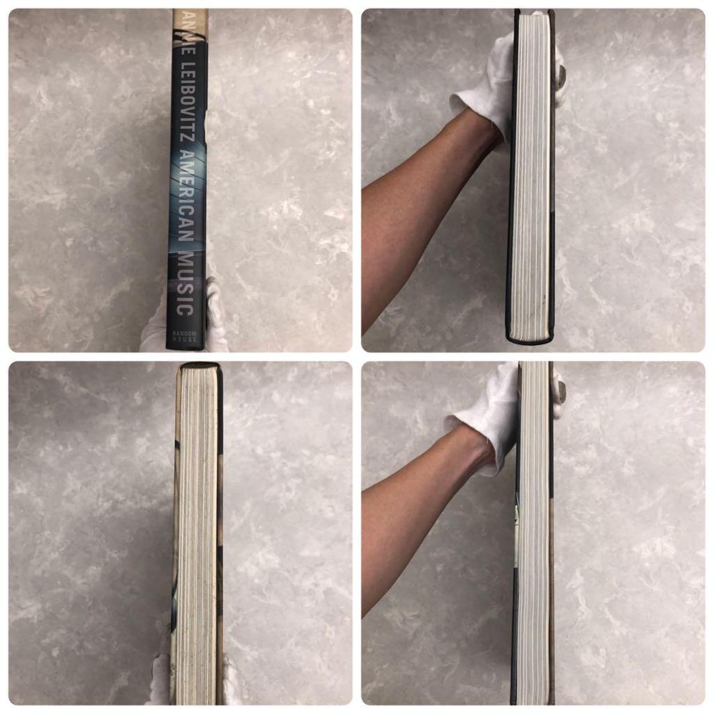 [USED] Annie Leibovitz American Music Photobook