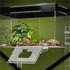 Hangend Eiland Schildpad Hoog Waterpeil Klimplatform Voorkomt Ontsnapping Diep Water Aquarium Schildpad Specifiek