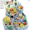 Extra-Large Hanging Succulent Pot: Multi-Diameter Micro-Landscape Decoration