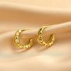 Ladies' Fashion Earrings Metal Irregular Alloy Earrings Jewelry