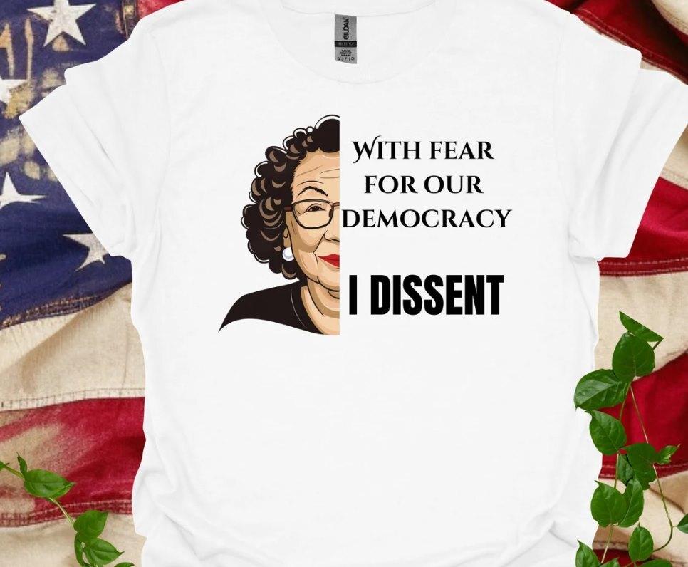 

With Fear For Our Democracy, I Dissent Political T-Shirt 4XL
