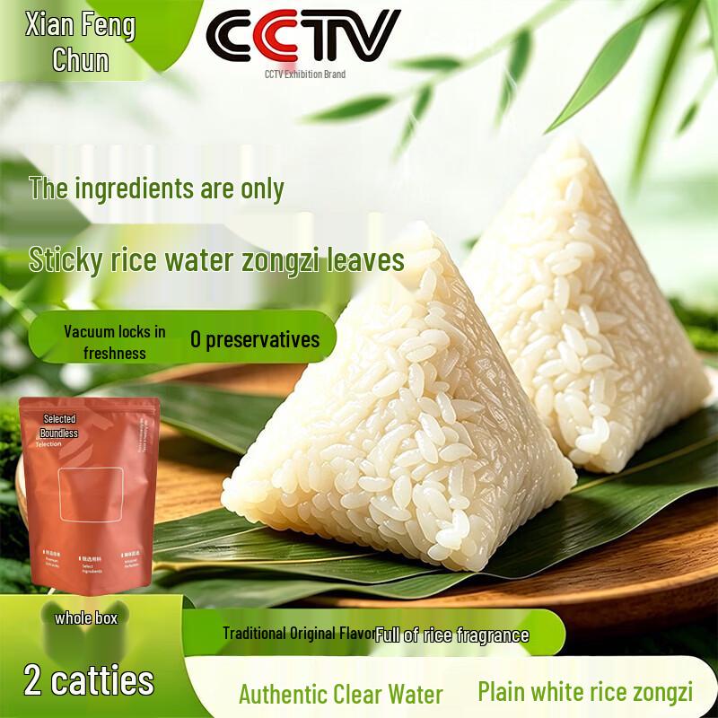 Fresh Spring Traditional Zongzi