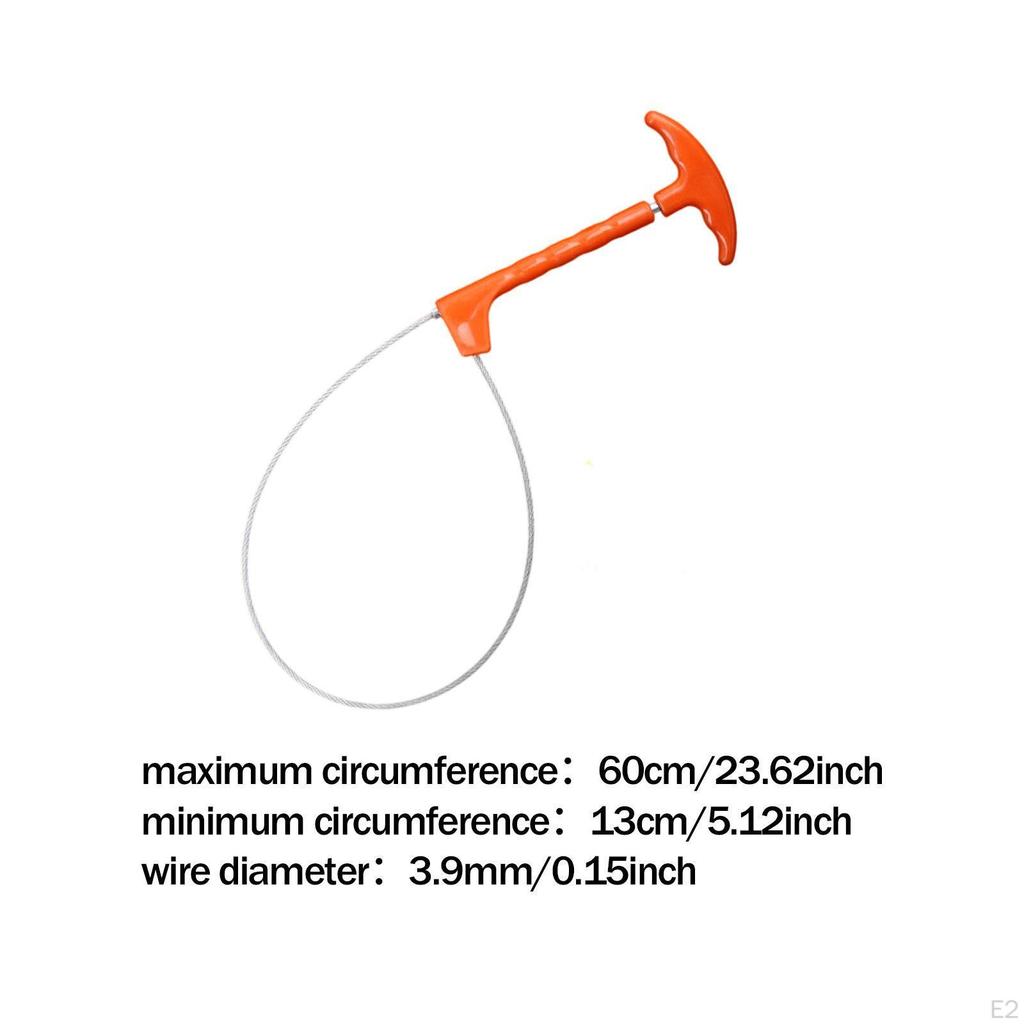 Adjustable Loop Animal Catcher for Cattle, Sheep, and Dogs