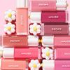 AMUSE Dew Tint 4g 13 tonalità