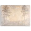 Canvas Print,  Misty Forest