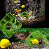Aquarium Caves And Hides For Fish Aquarium Cave Fish Hide Resin Aquarium House Fish Tank Decor Betta Fish House Small Cave