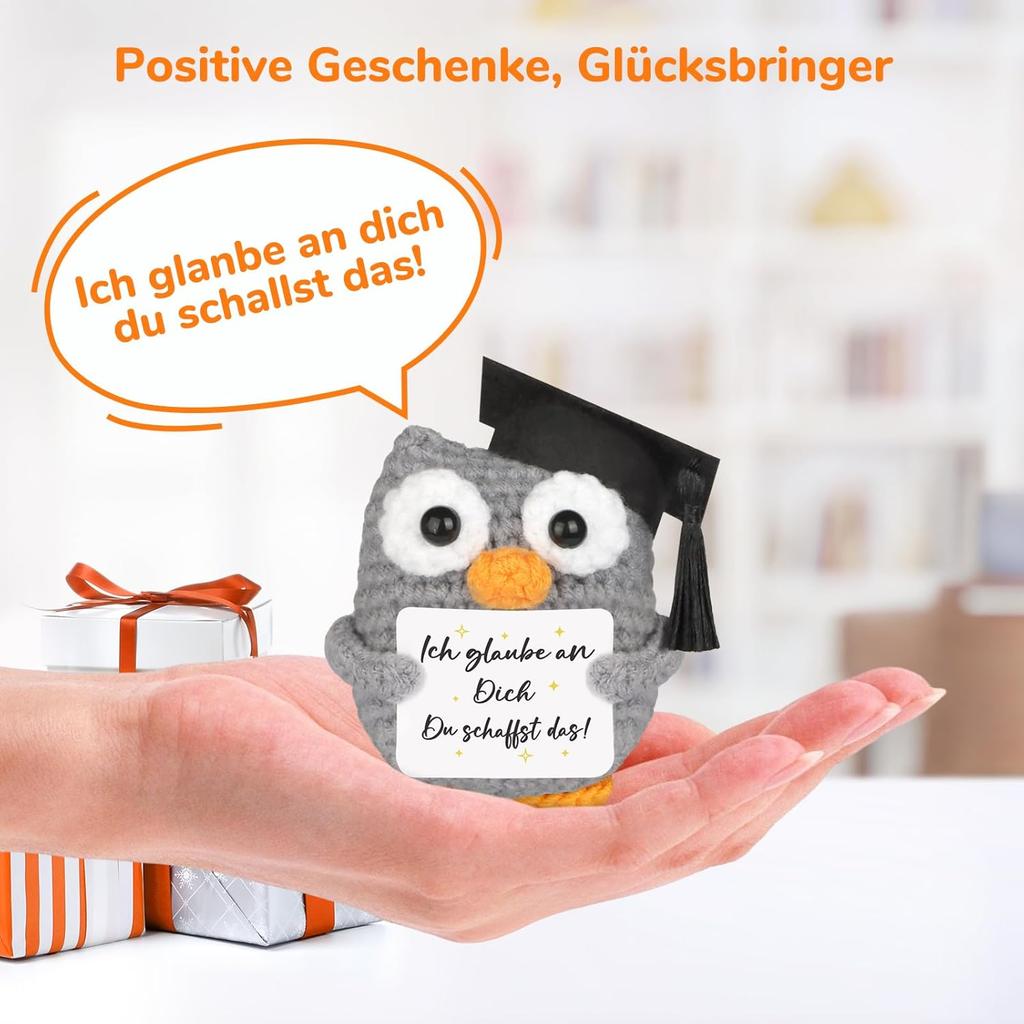 Knitted Owl Positive Gifts, Pocket Hug Owl, Encouragement Gift, Get Well Soon Gift, Lucky Charm Exam Gift, Owl Doll, Pack of 1