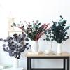 Eternal Apple Eucalyptus Millet Fruit Leaves Beauty Leaves Eucalyptus Leaves Air Dried Flowers And Leaves Multicolor Eucalyptus Leaves Home Decoration