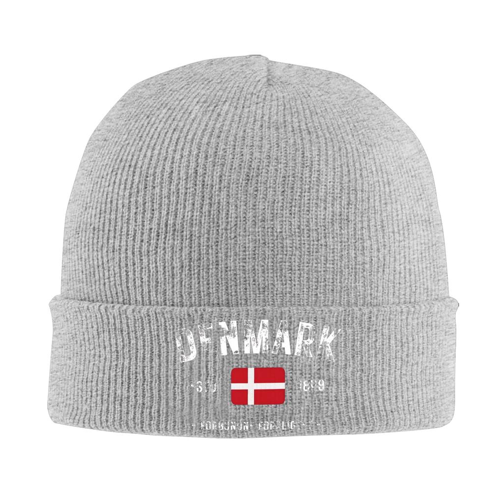 Denmark Estd 1849 Knitting Hat Beanie Hats Outdoor Sport Thermal Elastic Adult Unisex Bonnet Hats Winter Funny Caps Gift Idea