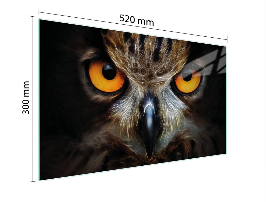 SZKLANA DESKA DO KROJENIA 52x30 SOWA