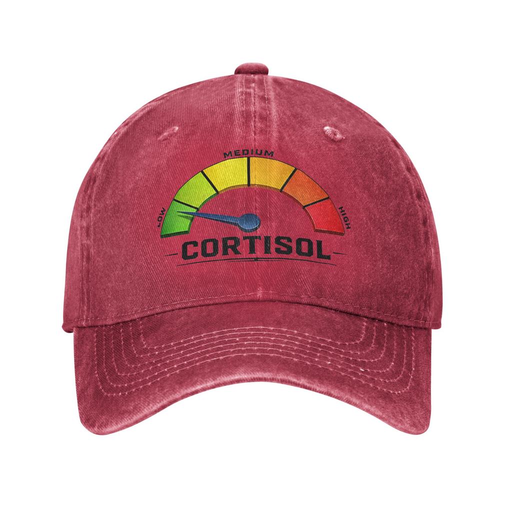 Washed Baseball Cap Low Cortisol Levels v Memes Summer Hip Hop Hats For Couple Women  Fashion Hiking Fishing Sun Snapback Cap