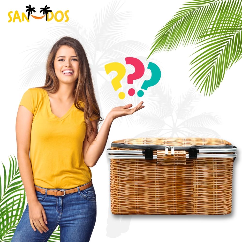 Termisk korgkorg för picknick, hopfällbar picknickkorg, shoppingkorg