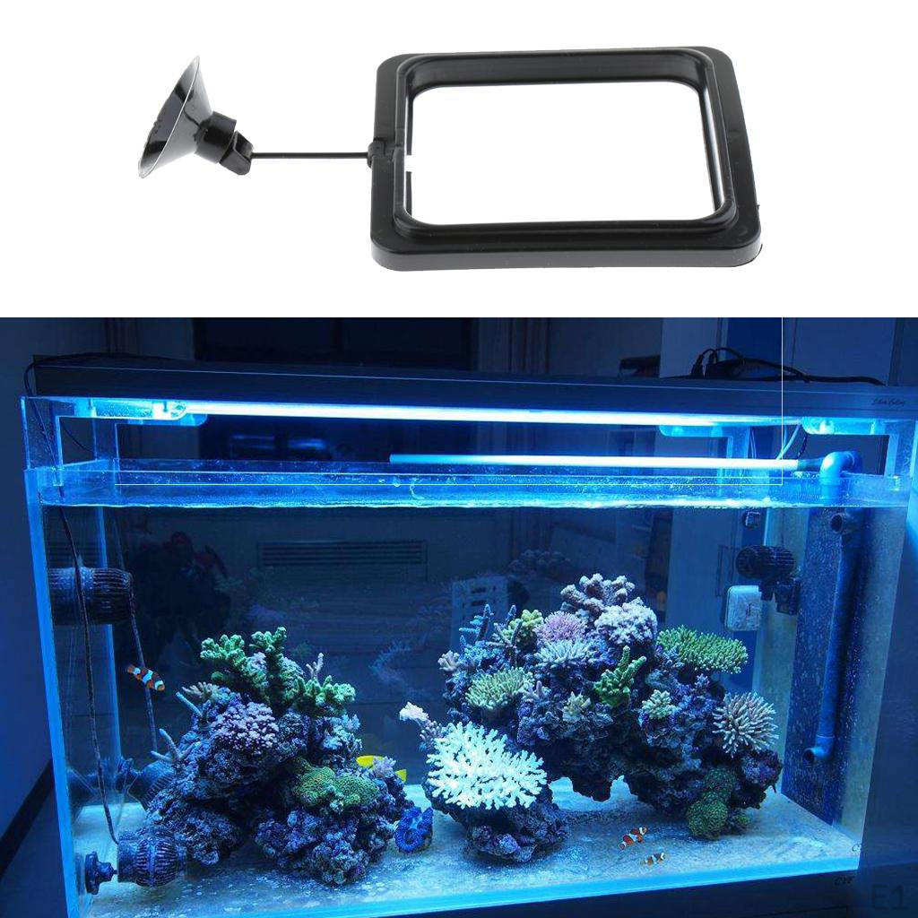 Aquarium Fish Tank Fishes Feeding Flake Ring Square Feeder