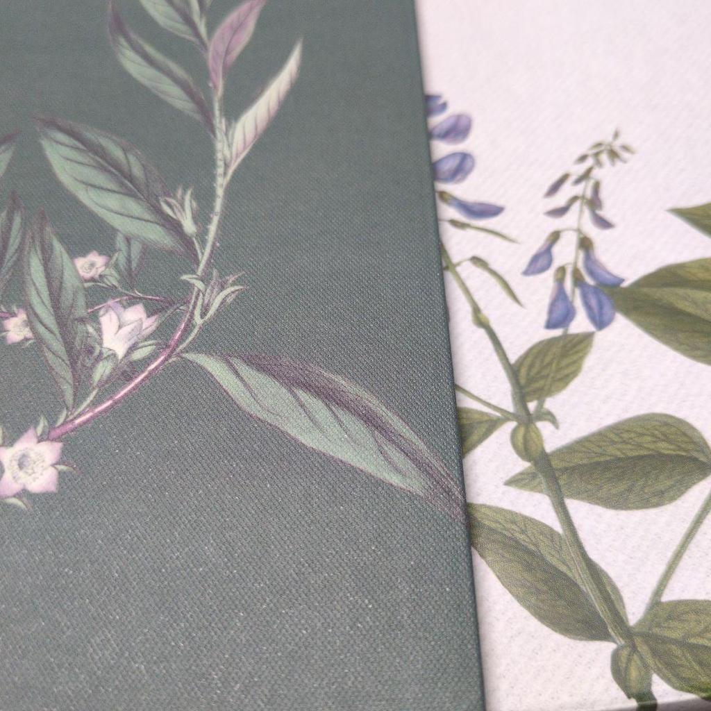 [USED] ASTRO ALL Light CD 2019 Made in Korea