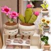 Kawaii Piante di Peluche Imbottite Realistiche Piante in Vaso Peluche Bambola Calla Giglio Cactus Fiori Rosa Piccoli Girasole Cuscino Giocattolo Decorazione