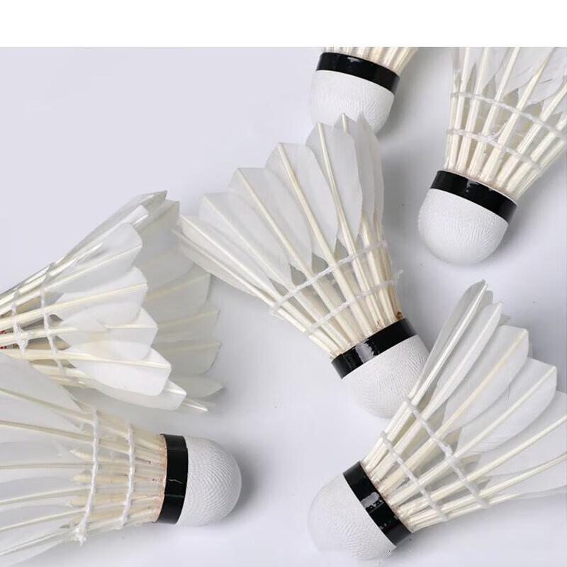 Xu Lin Goose Feather Badminton Shuttlecocks (12-Pack)
