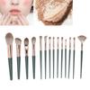 Set 14 Pennelli Trucco Polvere Correttore Fard Ombretti Blush con Verde St
