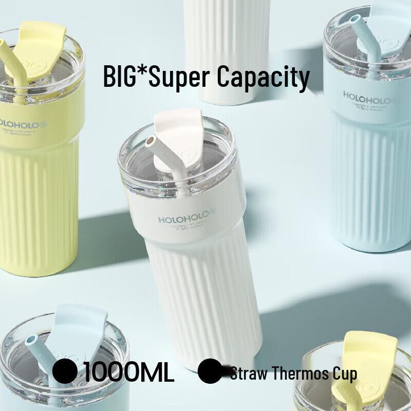 HOLOHOLO 316L Stainless Steel Insulated Tumbler with Straw