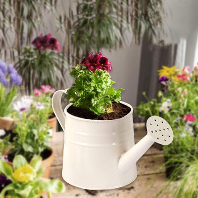 Kompakte Metallgießkanne für Pflanzen, 24,4 x 11,4 cm, ideal für drinnen und draußen