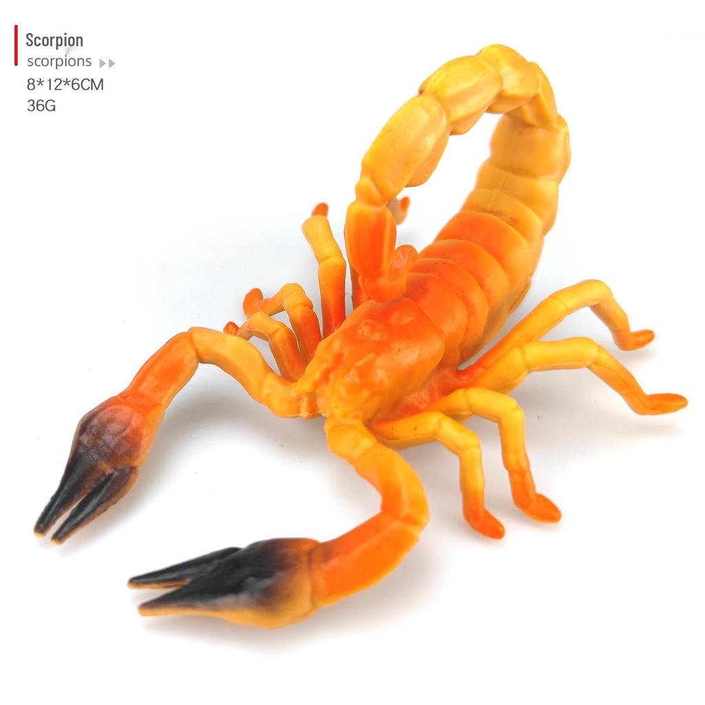 Children's Cognitive Teaching Toys: Insect Models - Butterfly, Ladybug, Rhinoceros Beetle, Bee, Grasshopper