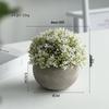 Artificial Potted Bonsai - Indoor Green Decor Flowers & Plants