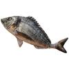 Soft Comfortable Simulation Fish Plush Toy 40/60cm Fish Cushion Pillow  Birthday Gifts