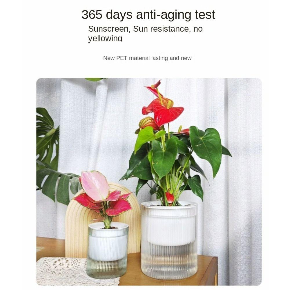 Transparent Hydroponic Planter Plastic Water Storage Flower Pot Durable Potted Flower Pot Garden