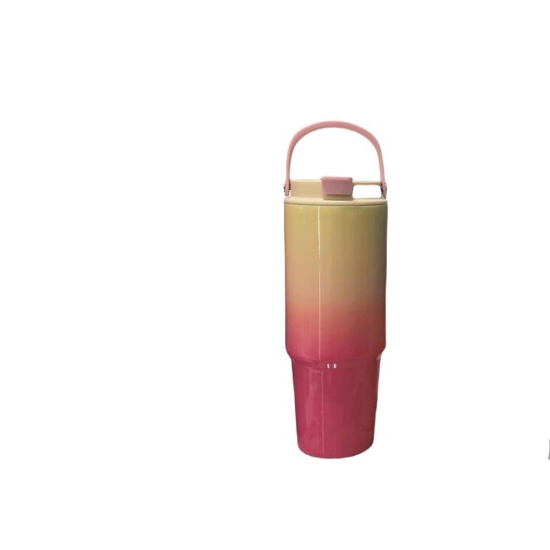 

Gradual Change of Color Stainless Steel Thermal Insulation Kettle with Straw Double Drinking Large Capacity High Value Water Cup 890ml