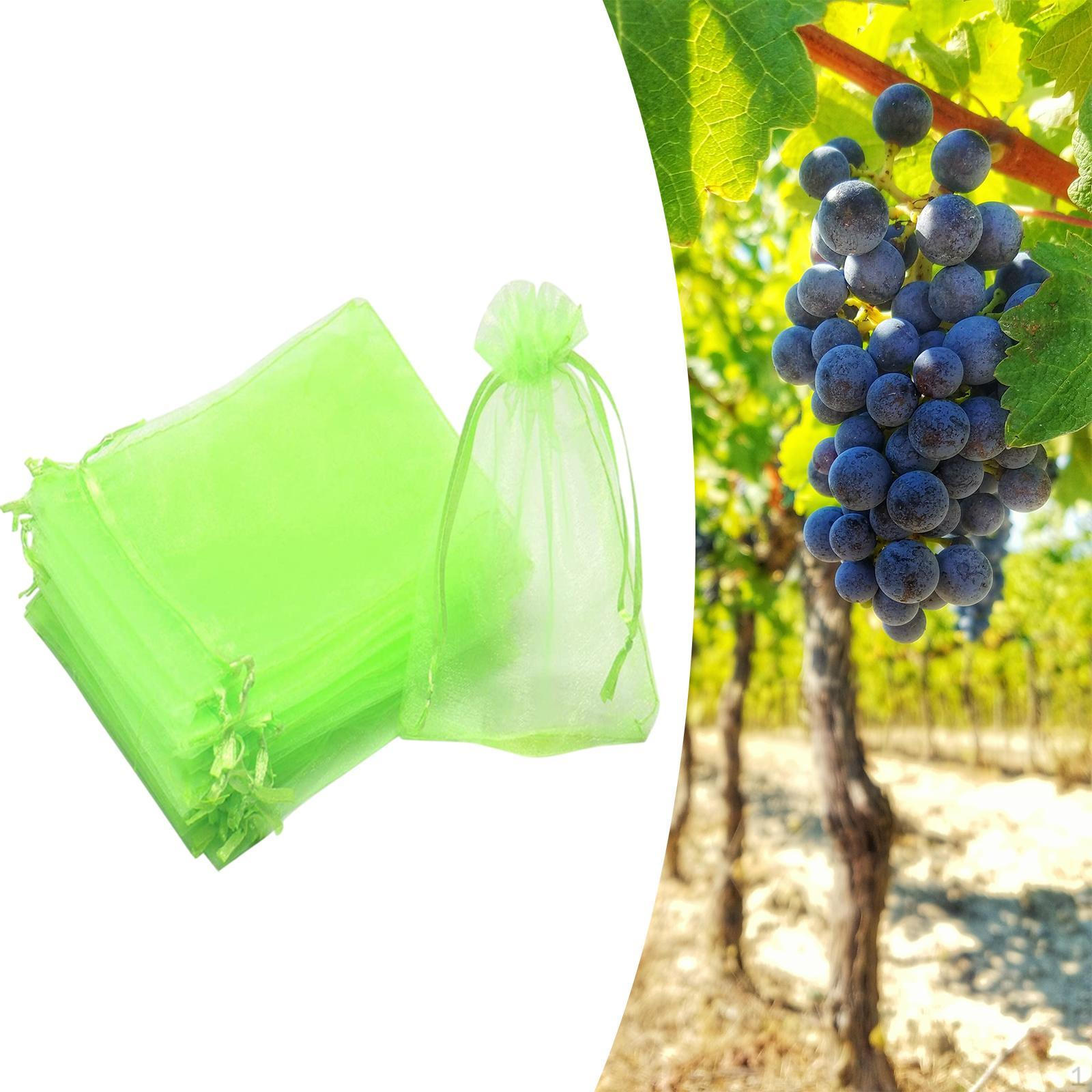 

100 шт. Защитные сумки для фруктов, сумка для конфет, органза, дышащая сетка, барьерная сетка для сада зелёный