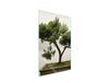 GLASS CUTTING BOARD 35x52 Tree