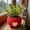 Heart Pattern 3D Printed Plant Pot Mini Eco-Friendly Planter Green Onion Pots  Garden Planting