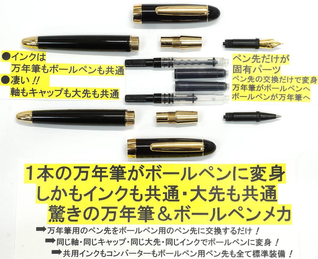 Slim Leather Pen Case In Brown with Exchange BP WX Fountain Pen Ink and Black Set (same Structure) (T23-ASC-WX-B)