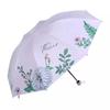 Paradise Umbrella Sun Protection UV Protection Sunshade New Genuine Goods Student Black Glue Three Folding Portable Sun Umbrella Men and Women