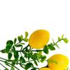3PCS Artificial Lemons Branches Wedding Garden Home Decoration Small Artificial Fruit Branch Type B