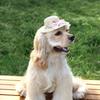 Pet Straw Hat Handwoven Sun Cap with Adjustable Strap Headwear for Small Dogs Cats Birthdays Special Occasions