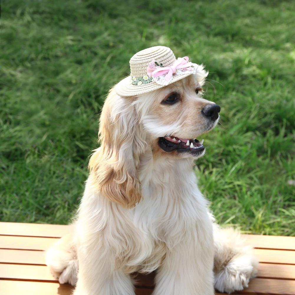 Pet Straw Hat Handwoven Sun Cap with Adjustable Strap Headwear for Small Dogs Cats Birthdays Special Occasions