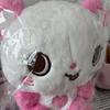 Pangi Wish Doll 30cm Photocard Included (Shion, Sakuya, Ryo, Yu Moocy)
