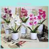 Butterfly Orchid Artificial Plant With 3d Printing For Home Decor And Photography Props
