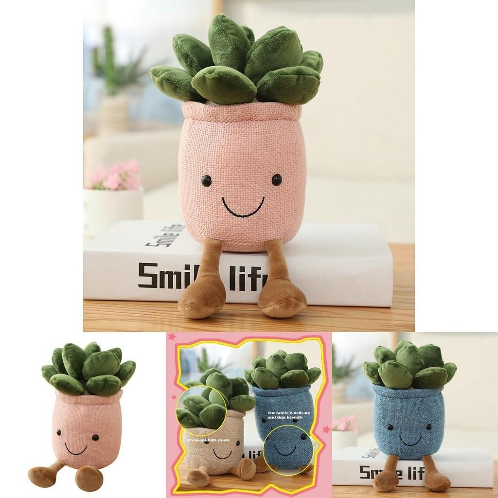Adorable Succulent Plants Plush Toy With Soft Texture Perfect For Home Decoration