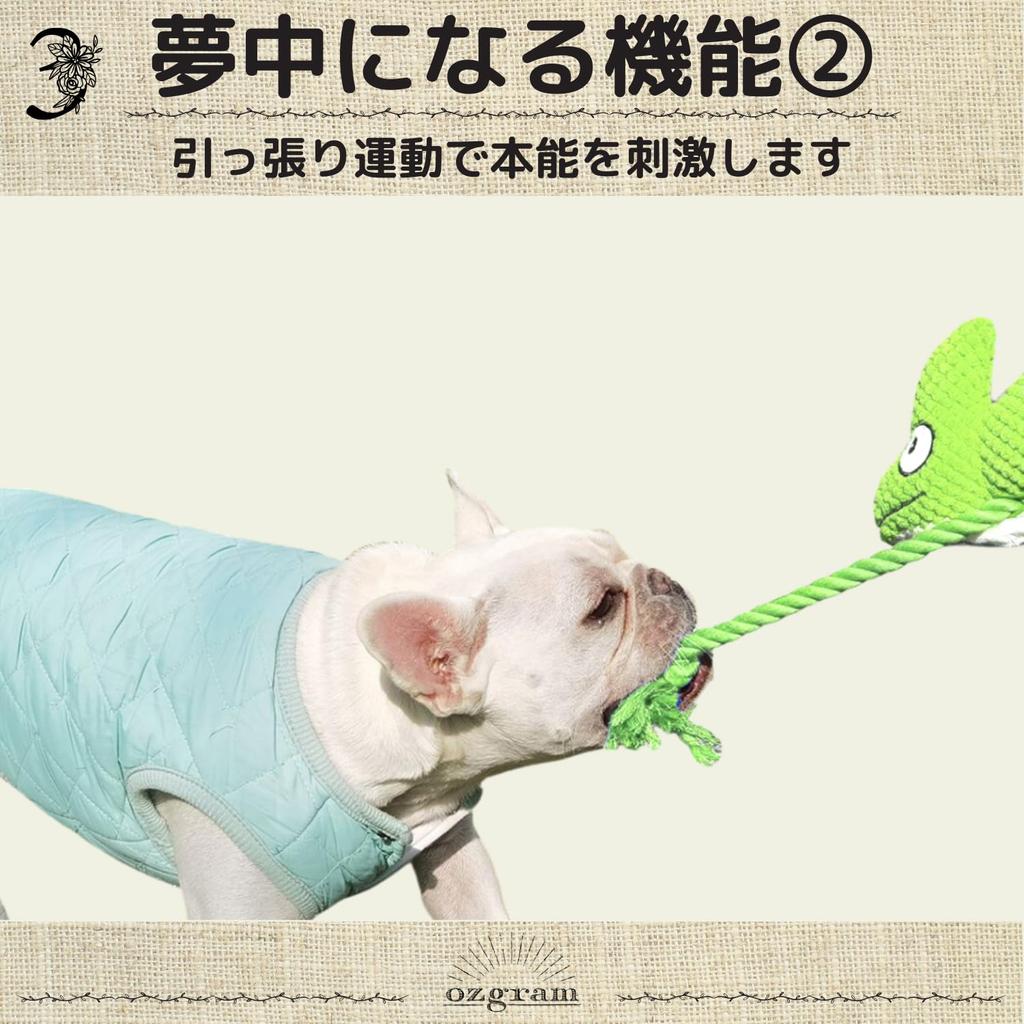 Ozgram Chameleon Dog Toy for Dogs and Plush Chew Toy with Teeth Dental Stress Relief Cats, Sounds, Brushing, Care, [Green]